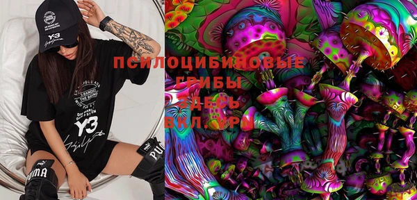 индика Алзамай