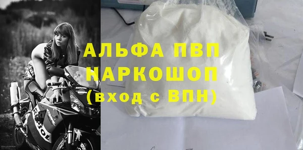 индика Нязепетровск