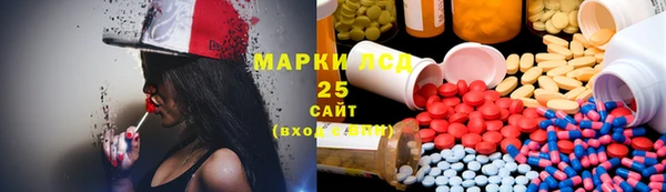 индика Алзамай