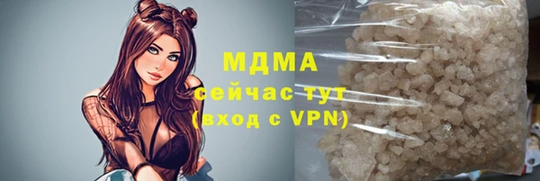 индика Алзамай