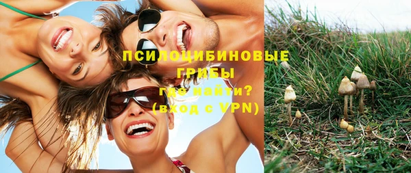 индика Алзамай