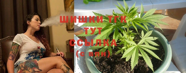 шишки Алексин